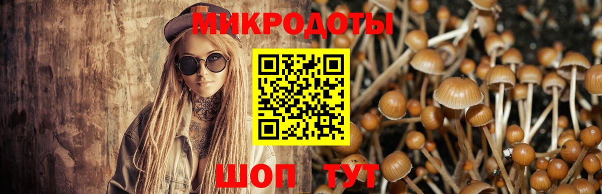Санкт-Петербург  Галлюциногенные грибы Psilocybine cubensis  Вход с VPN 