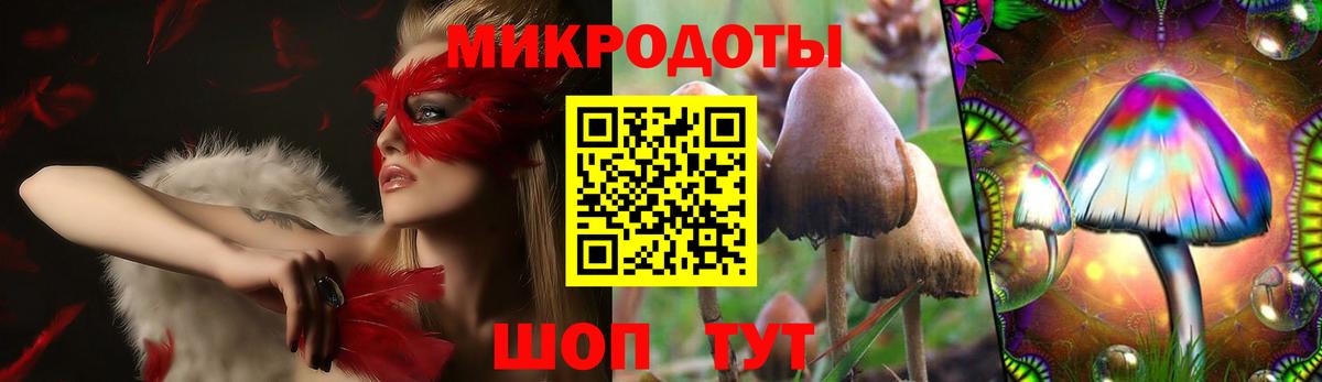 Псилоцибиновые грибы Cubensis Санкт-Петербург